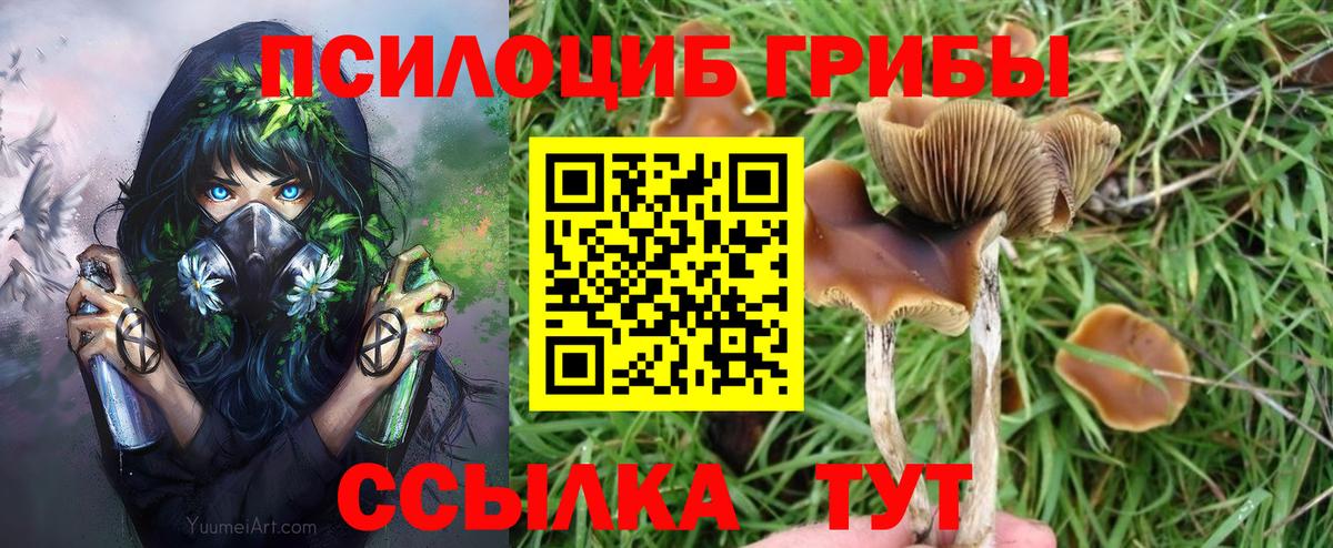 Галлюциногенные грибы Magic Shrooms Видное
