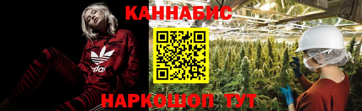 Марихуана MAZAR  Вход с VPN  МАРИХУАНА ГИДРОПОН  Видное  Марихуана OG Kush  Бошки Шишки OG Kush 
